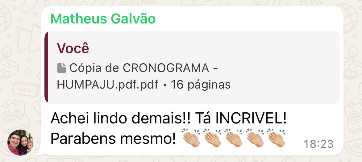 Print de conversa no WhatsApp com feedback de cliente da Lumiar